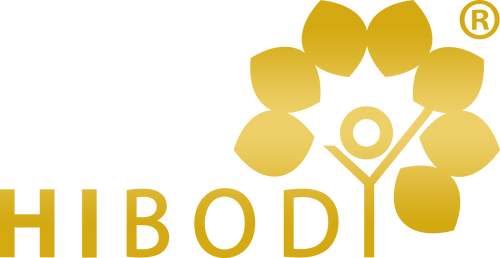 Reto Hibody logo